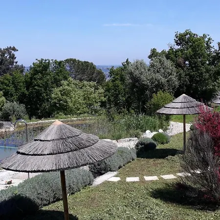 Quinta Vale Porcacho Frühstückspension Tábua