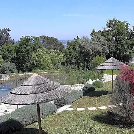 Quinta Vale Porcacho Tábua