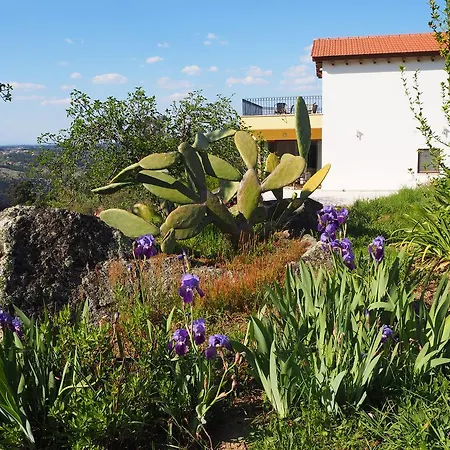 Quinta Vale Porcacho לינה וארוחת בוקר 4*