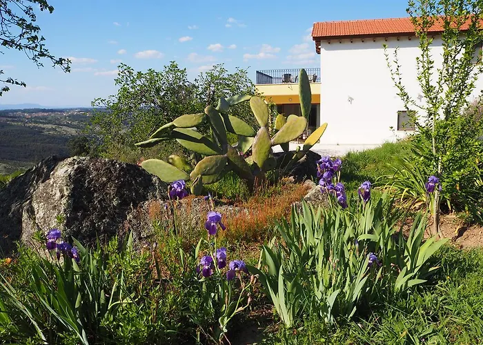 Quinta Vale Porcacho לינה וארוחת בוקר 4*