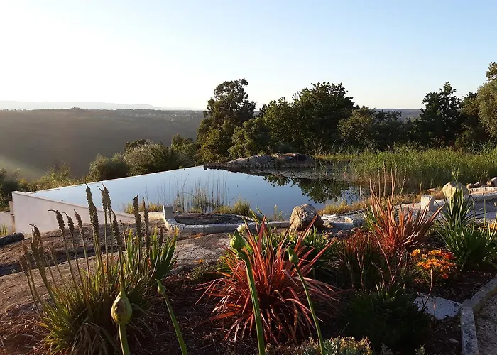 Quinta Vale Porcacho Tábua